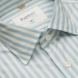 Flower Embroidered And Blue Striped Shirt